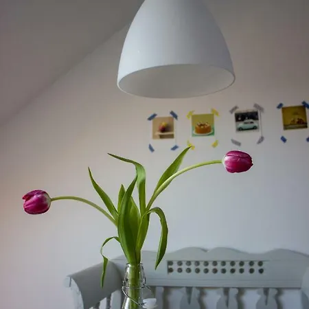 Stadtflucht Lueneburg: Innenstadt Διαμέρισμα Λούνεμπουργκ